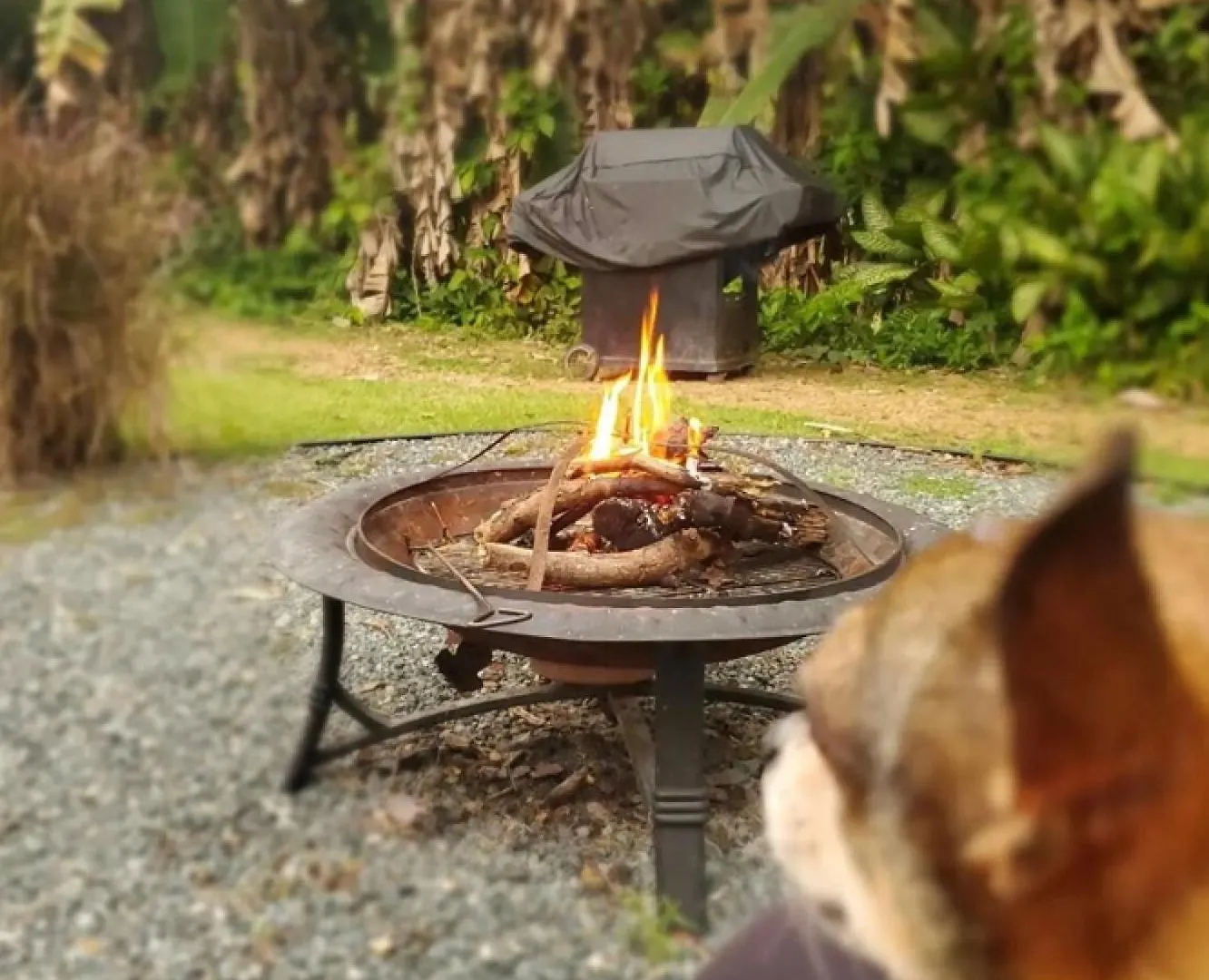 Glamping Mayaguez Just For 2 Κάμπινγκ